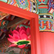close up photo of bright pink Korean traditional lantern, seen through a colorful traditional green and  red door