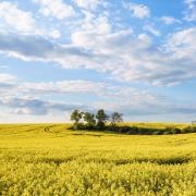 German countryside