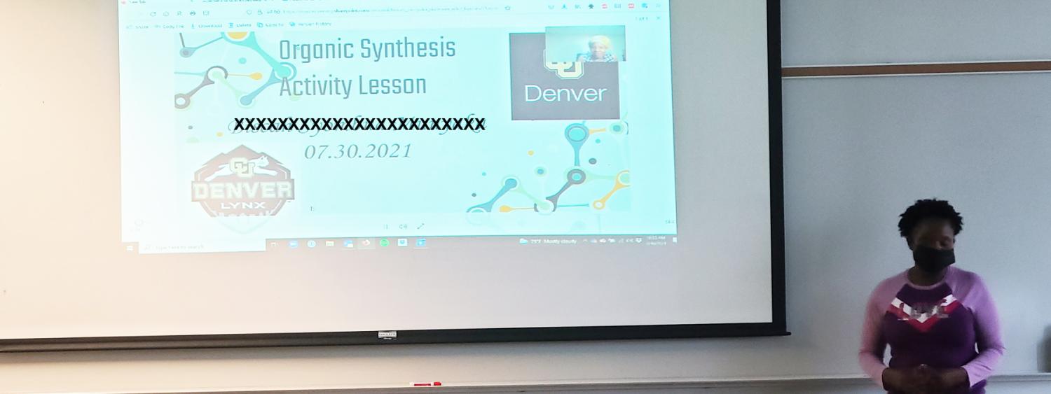 2021 fellow giving final presentation (two)