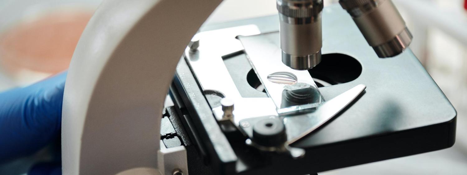 Microscope slide close up