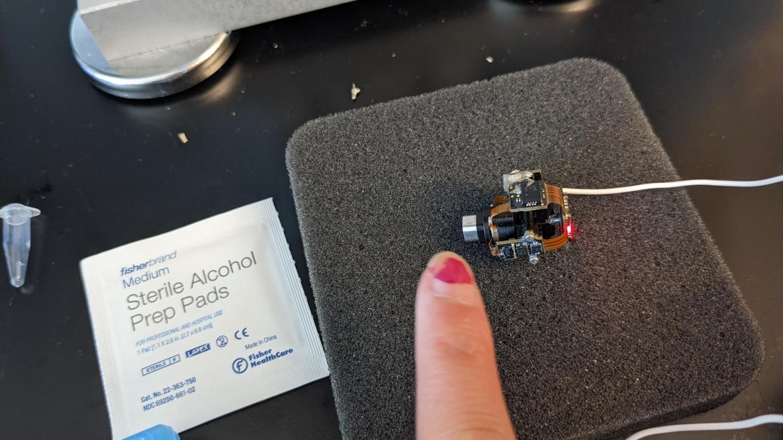 Small microscope used for real time motion imaging of a mouse brain with participant finger nail for scale