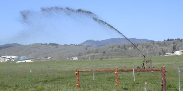 Liquid Effluent being sprayed on fields at Oregon State University Research Dairy Farm
