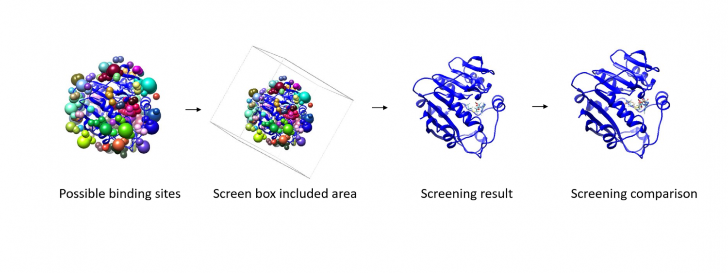 molecular dynamics protein model