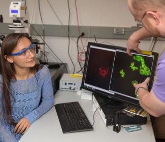 Student in a lab at a computer